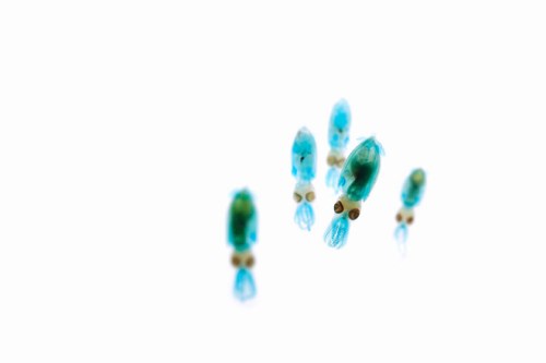 Tumblr_ljcghwa79k1qdwoyno1_1280